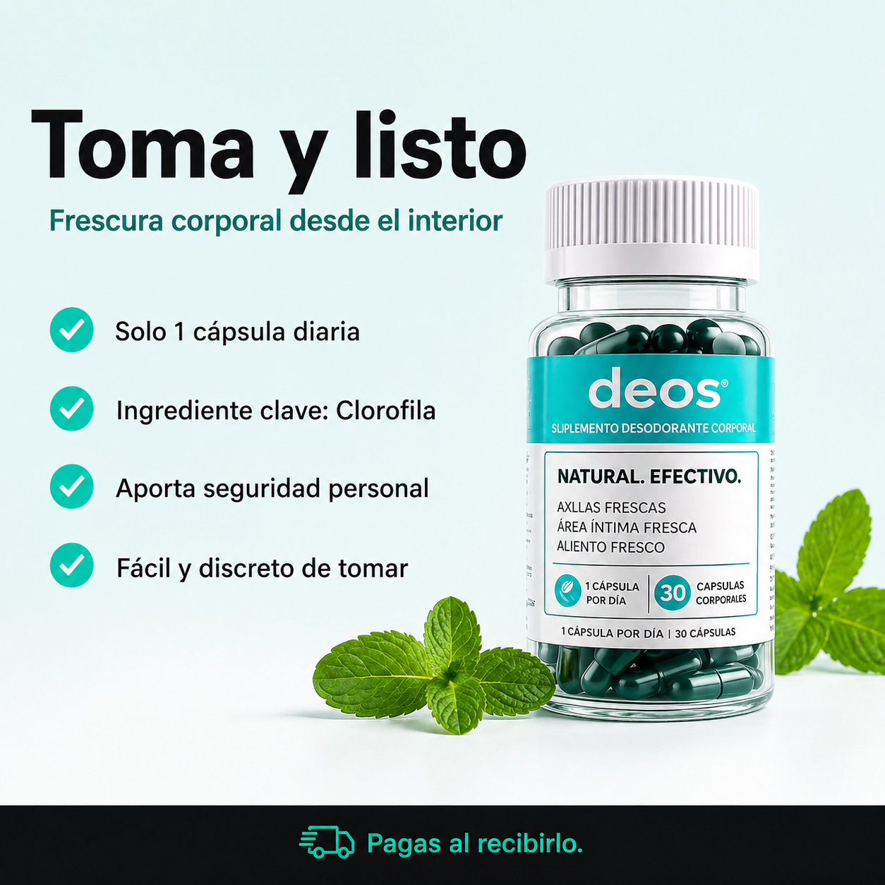 DEOS.-Detox Interior