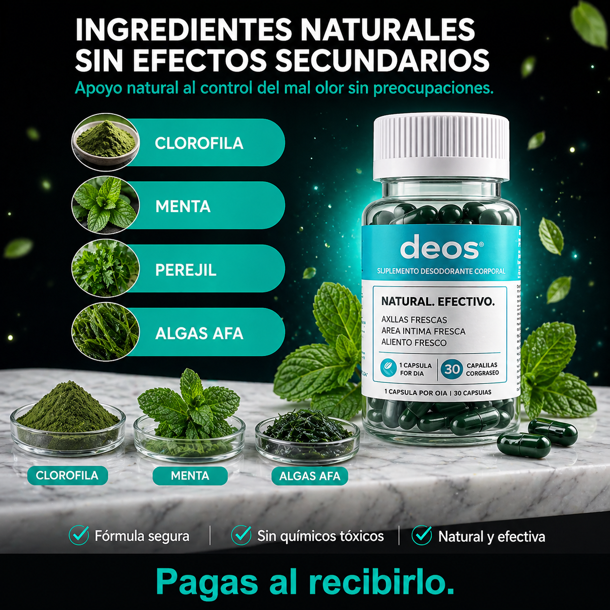 DEOS.-Detox Interior