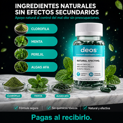 DEOS.-Detox Interior