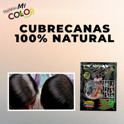 Shampoo Anti-canas Negro Mi Color