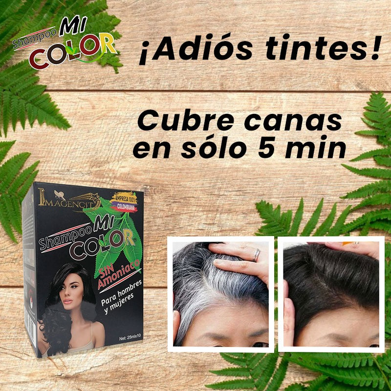 Shampoo Anti-canas Negro Mi Color