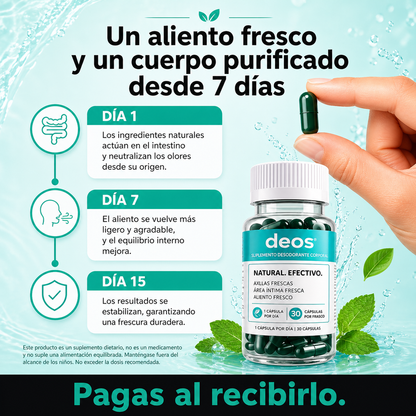 DEOS.-Detox Interior
